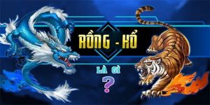 rồng hổ 28bet
