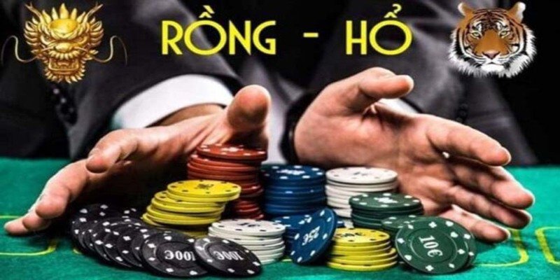 Tham gia cược bài rồng hổ nhà cái 28bet đơn giản